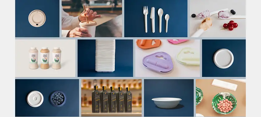 PulPac and Future Materials Advance Fiber Packaging