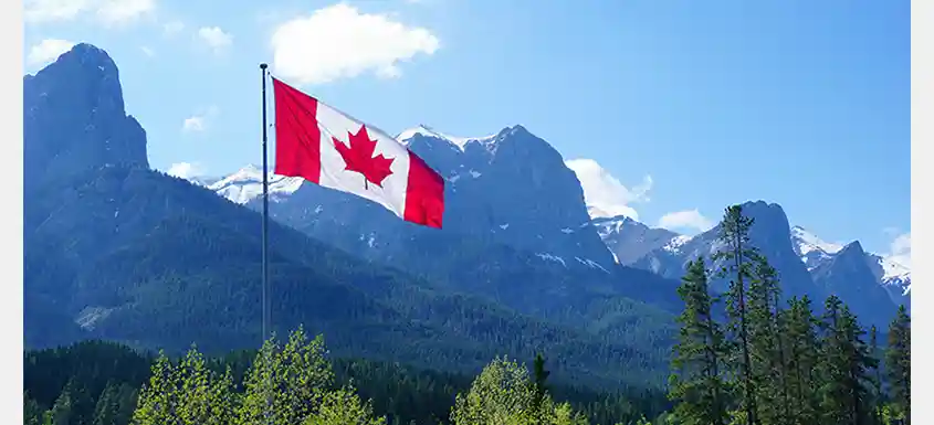 Prime Minister Carney’s Support for Forest Sector