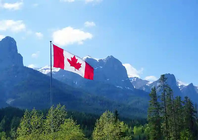 Prime Minister Carney’s Support for Forest Sector