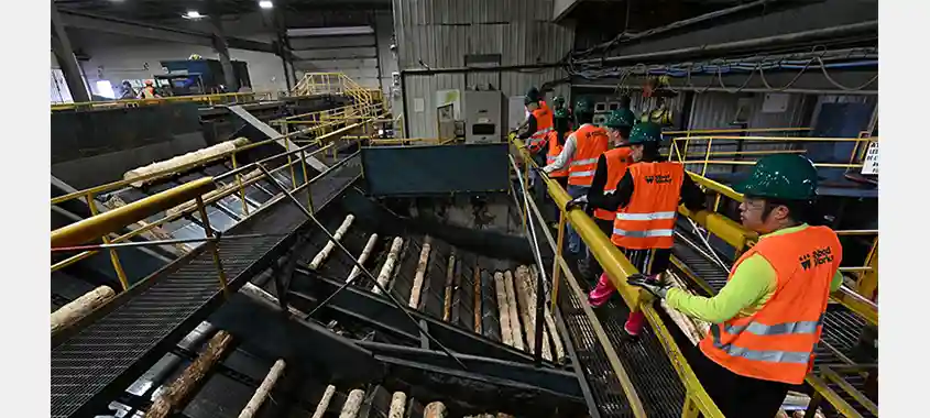 forest sector workers