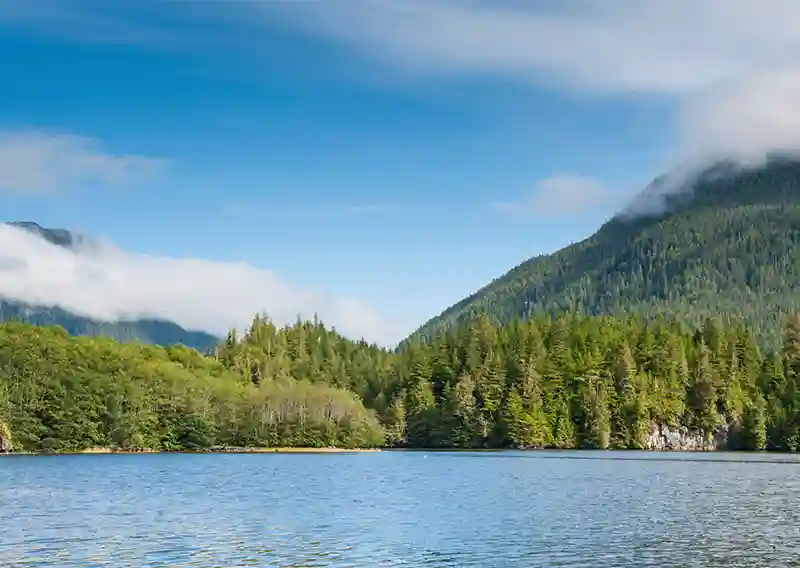 FPAC reacts to Ottawa’s plan to support the forest sector