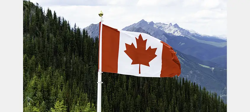 Canada’s Forest Sector Welcomes New Measures to Strengthen Strategic Canadian Industries