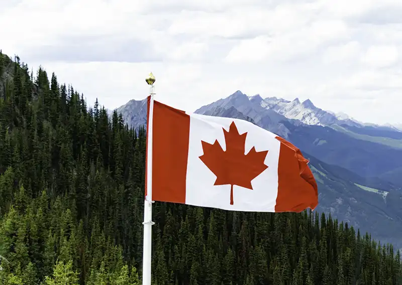 Canada’s Forest Sector Welcomes New Measures to Strengthen Strategic Canadian Industries