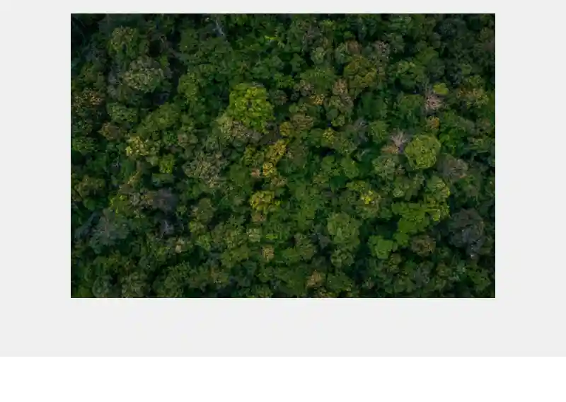 Public Consultation Notice: Intact Forest Landscapes in Canada 