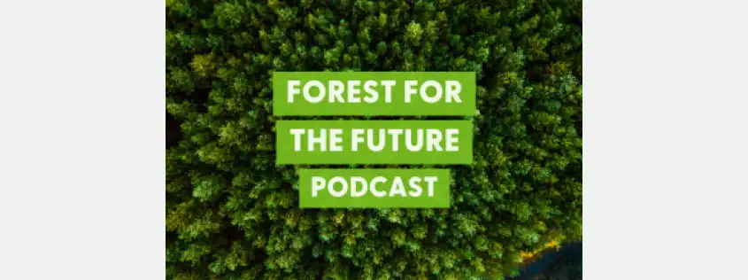 Podcast: Demystifying FSC Chain of Custody audits