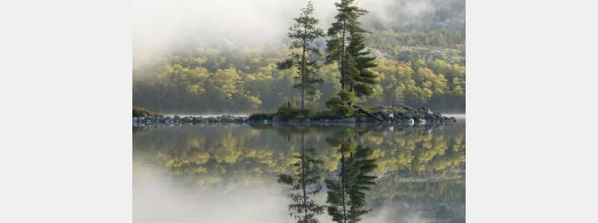 FSC launches a public consultation