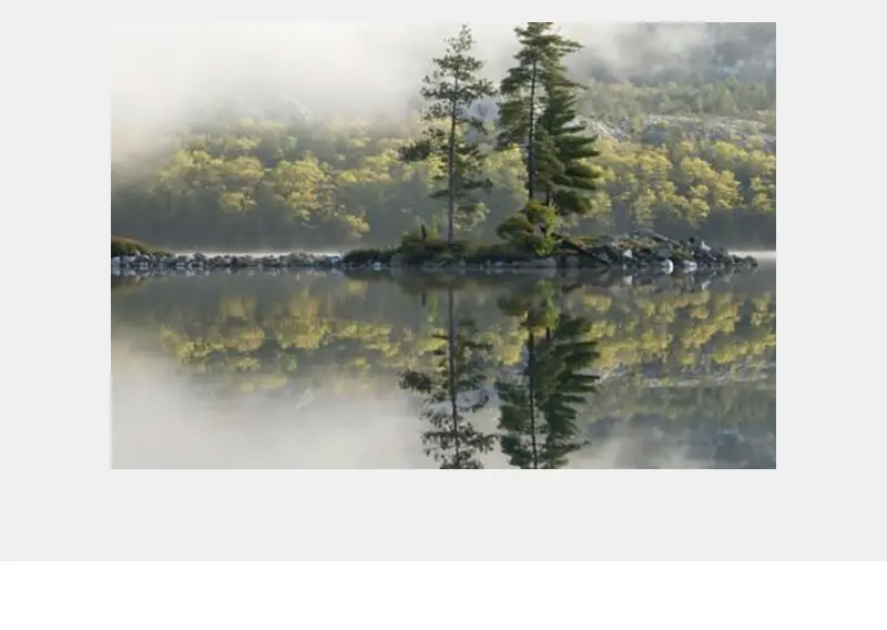 FSC launches a public consultation