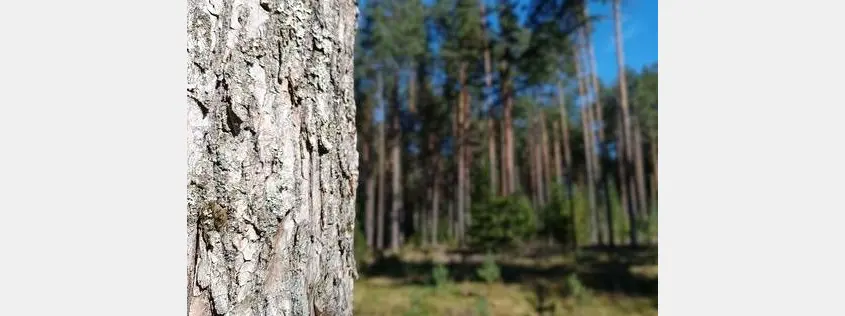 New Advice Note published on Indicator 55 of RAF