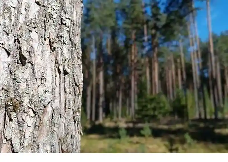 New Advice Note published on Indicator 55 of RAF