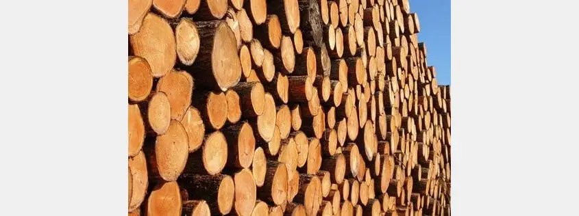 FSC invites experts to apply for a Technical Working Group