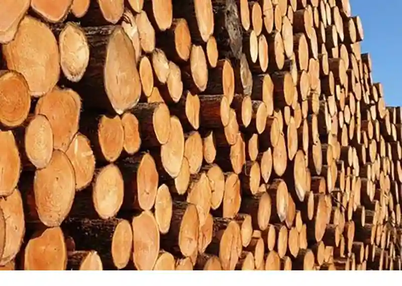 FSC invites experts to apply for a Technical Working Group