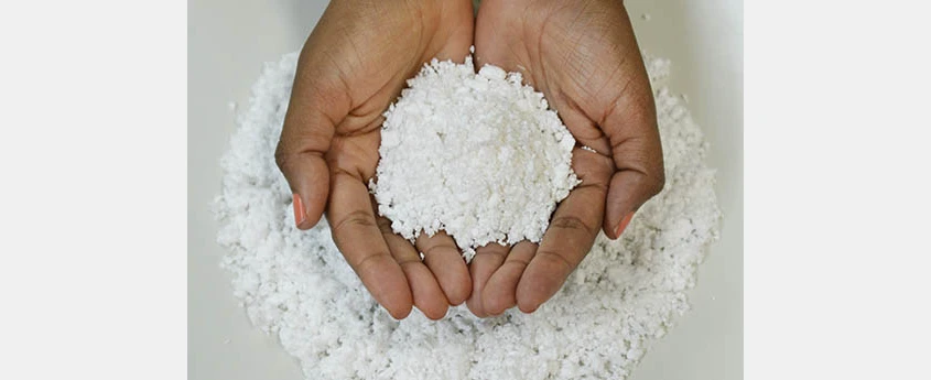 Bracell Develops Sustainable Solutions in Pulp Industry
