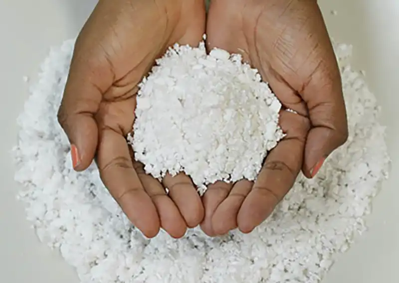 Bracell Develops Sustainable Solutions in Pulp Industry