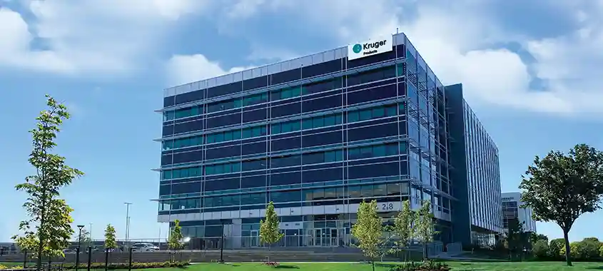 KP Tissue Ends 2025 with Strong Growth