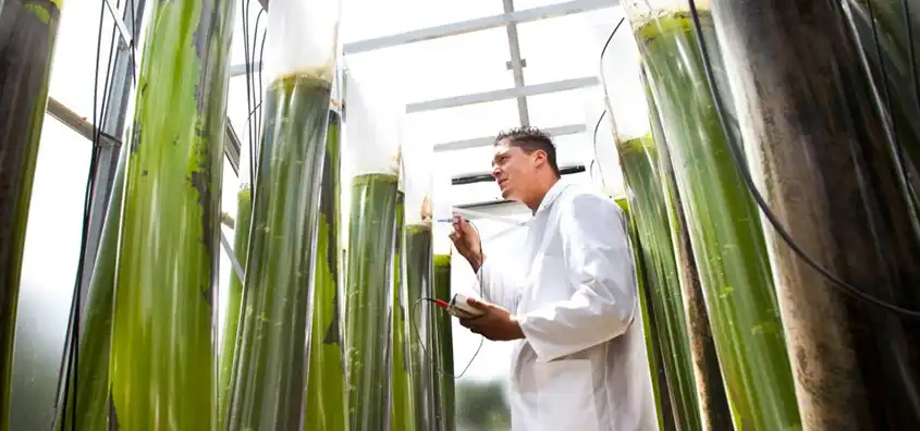 EU Launches New Strategy to Scale the Bioeconomy