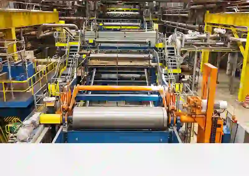 Suzano starts up new line, lifts fluff pulp capacity 400%