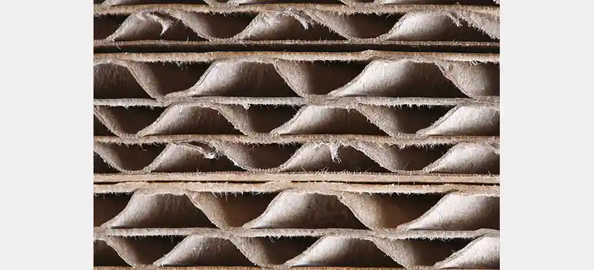 corrugated cardboard packaging