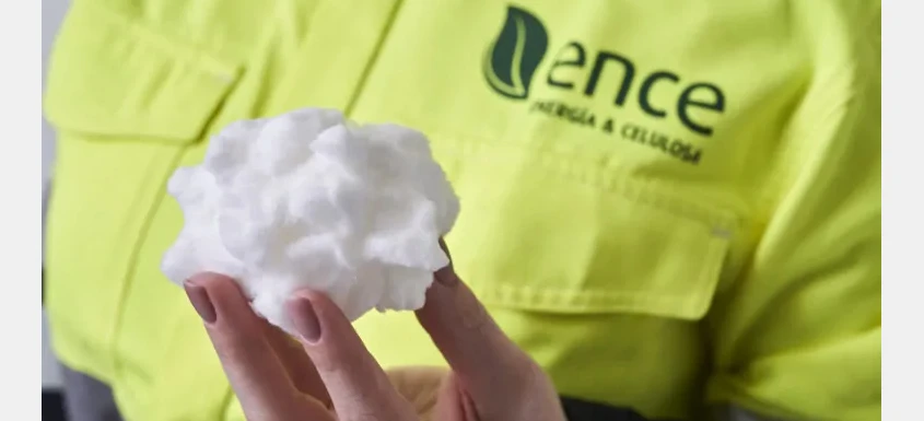 Ence Moves Forward with First Fluff Pulp Line in Navia