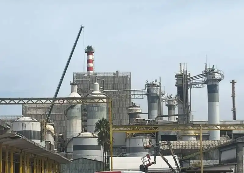 Ence Resumes Production at Pontevedra Biofactory