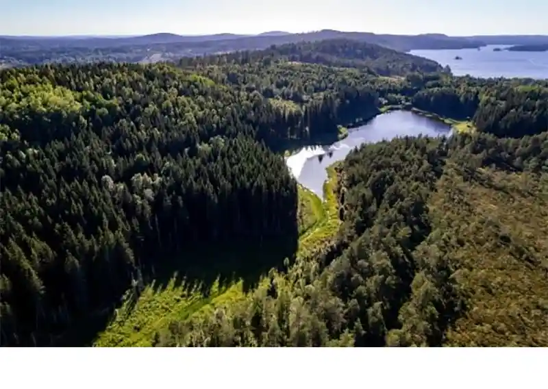 Stora Enso has proposed the initial board members for its planned forest asset spin-off