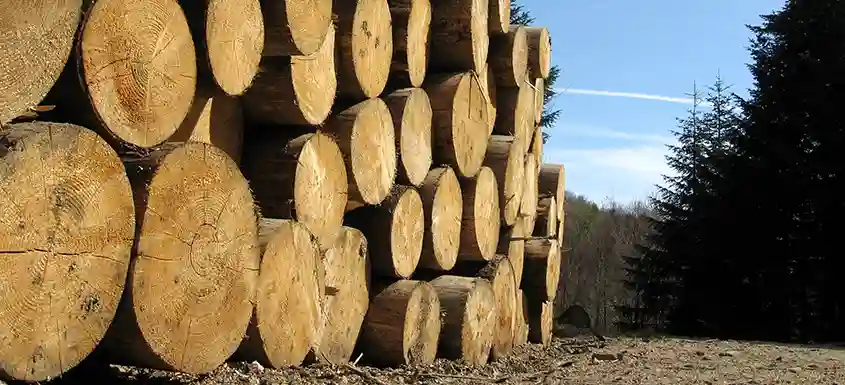 Image Source: PA Files Softwood Lumber – Tariffs, Turbulence, and New Trade Flows