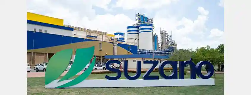 Suzano Shifts to Capital Discipline as Investment Cycle Nears End