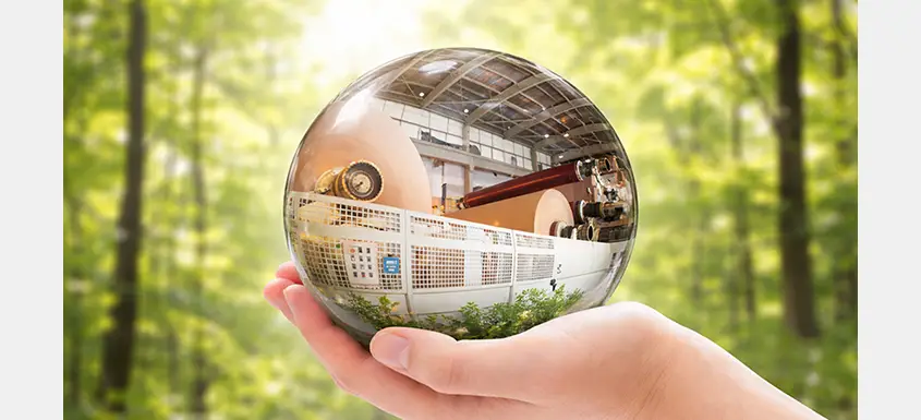 Pulp, Paper and Wood: Industry Outlook for 2026