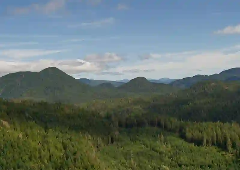 BC’s coastal forest sector faces a deepening crisis