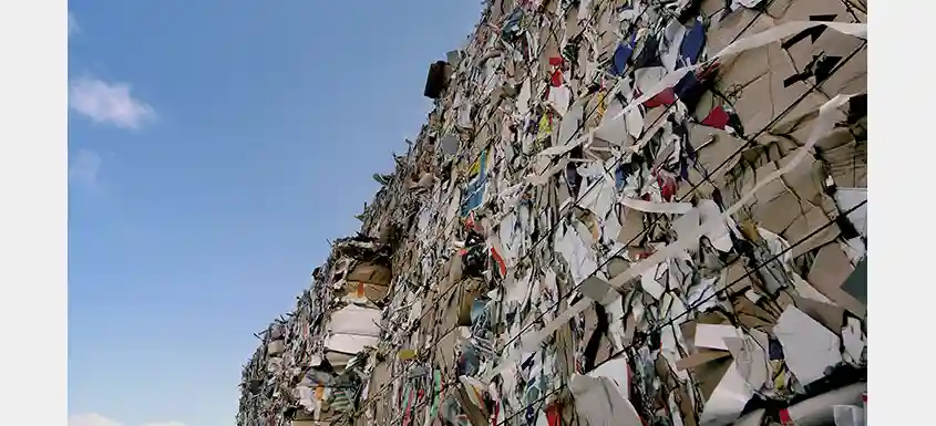 Canada Moves Toward Harmonized Ecodesign Guidelines