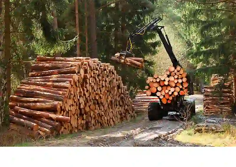 GreenFirst Navigates Market Uncertainty and Tariff Pressures