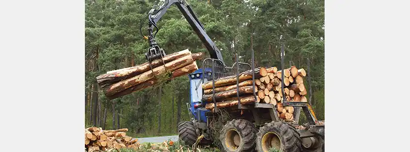 N.B. Fiber Loses a Key Buyer as Woodland Pulp Pauses Imports