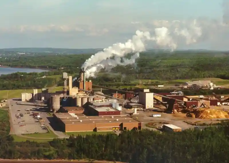 Nova Scotia Weighs Bid on Northern Pulp Assets