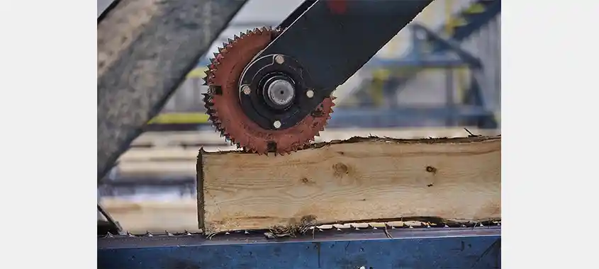 Domtar Uses AI to Improve Sawmill Quality and Efficiency
