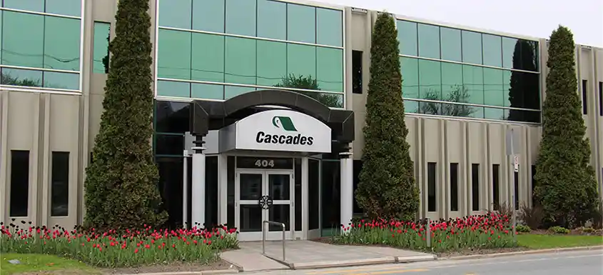 Cascades will exit honeycomb and partition packaging