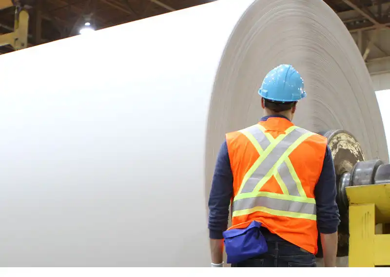 TB Pulp and Paper to End Newsprint Production Q1 2026