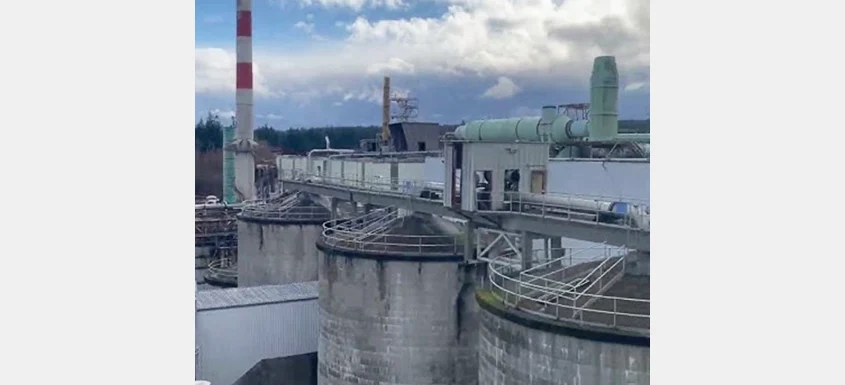 The Hidden Cost of Losing Mastery in Pulp and Paper Mills