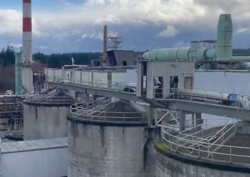 The Hidden Cost of Losing Mastery in Pulp and Paper Mills