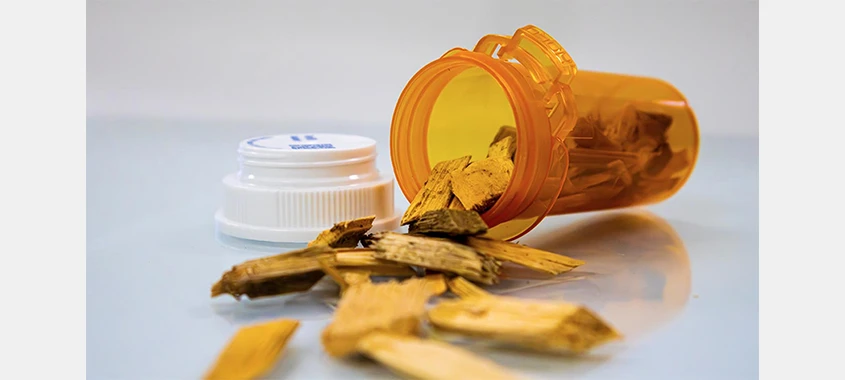 UMaine researchers develop a wood-based method to produce key pharmaceutical ingredients