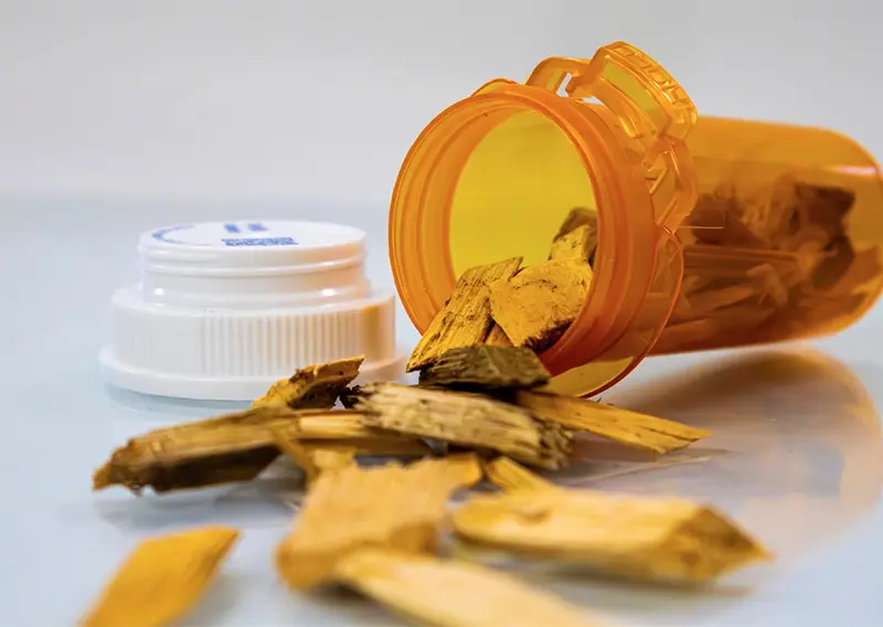 UMaine researchers develop a wood-based method to produce key pharmaceutical ingredients