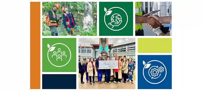 Domtar Outlines 2030 Sustainability Strategy