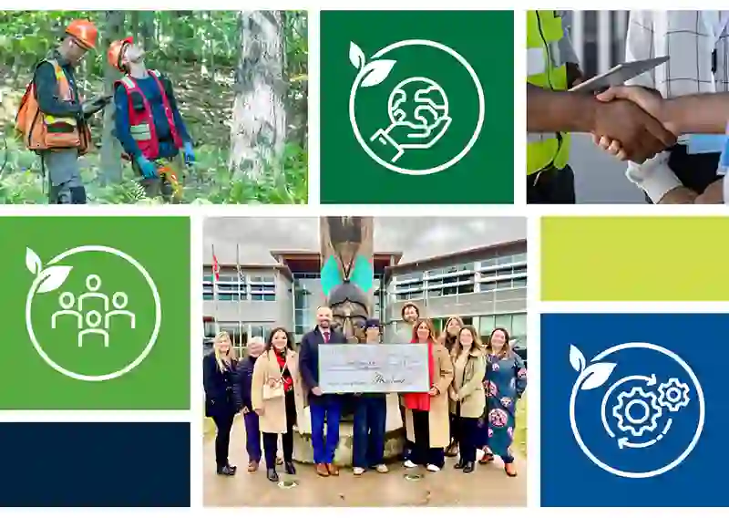 Domtar Outlines 2030 Sustainability Strategy
