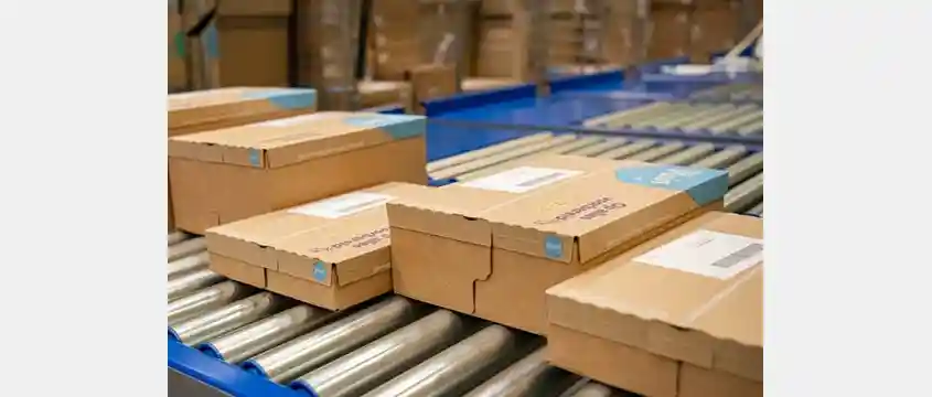 Plein.nl and DS Smith Cut Waste with Smarter Packaging