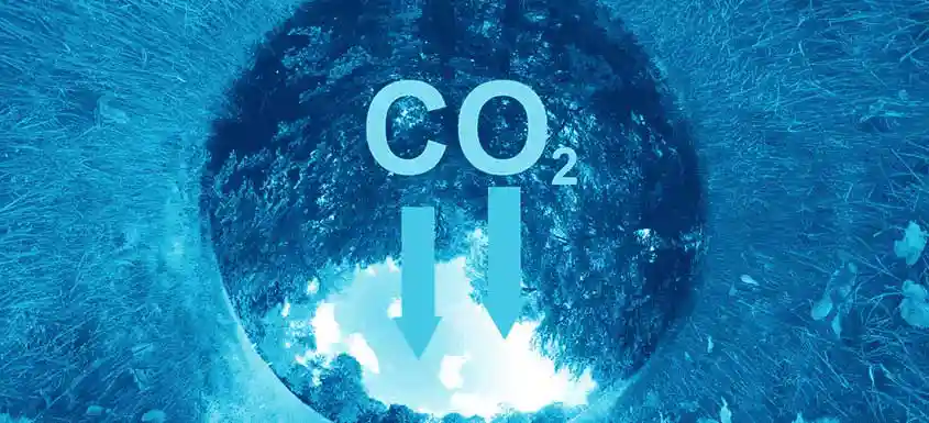 Decarbonization and Circularity in Pulp & Paper