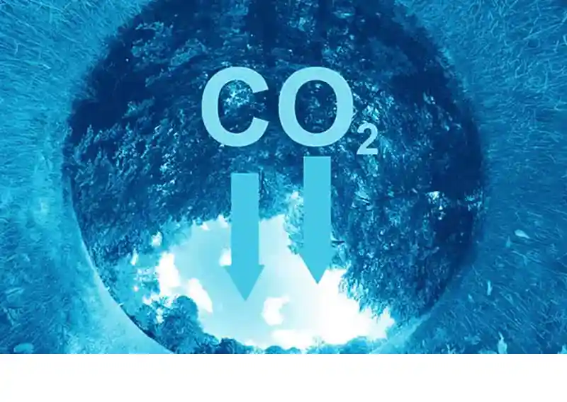 Decarbonization and Circularity in Pulp & Paper