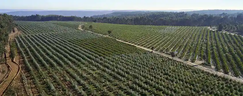 Altri Earns CDP A Rating for Climate Leadership