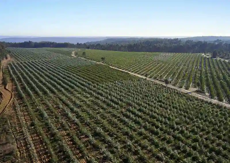 Altri Earns CDP A Rating for Climate Leadership