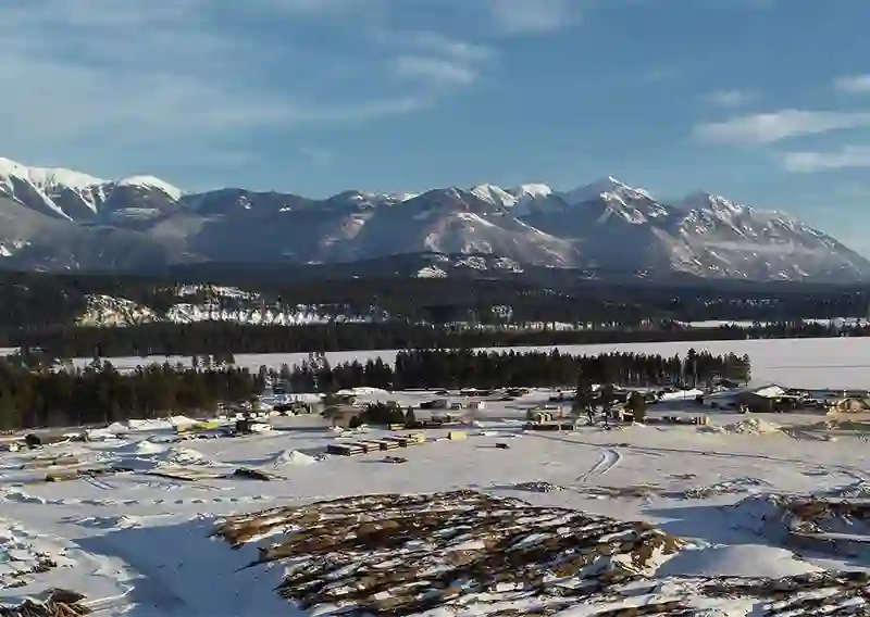 Domtar Posts CDP Score Gains Across All Categories