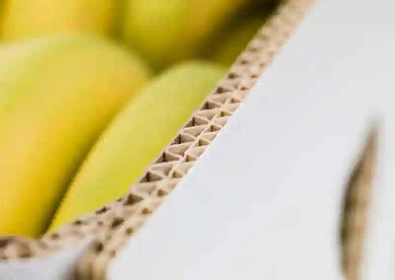 Gruvön Headbox Upgrade Boosts Billerud Fluting Output